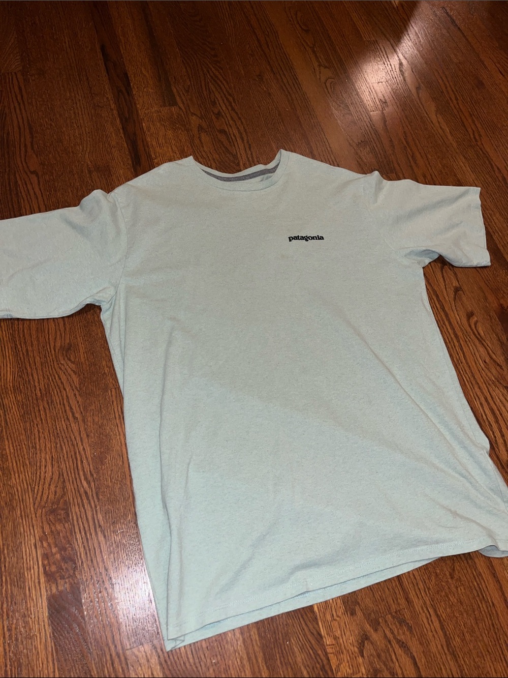 Patagonia Short-Sleeve Responsibili-Tee in Seafoam Green Medium